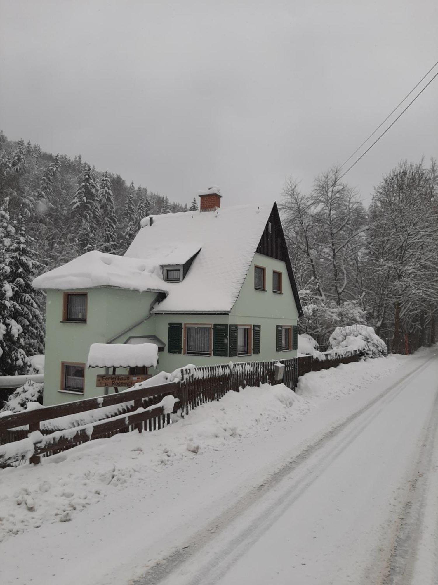 Ferienhaus Rosemarie Erlbach Vogtland Dış mekan fotoğraf